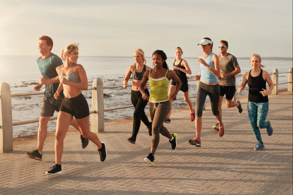 hobbies, joy, happiness, mental health, wellness, fun, monk, MIT, expert, chess, gardening, art, color, adult hobbies