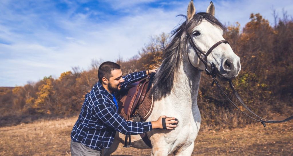 horse, caring for horses, the dodo