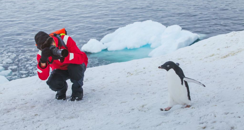 science, language, linguistics