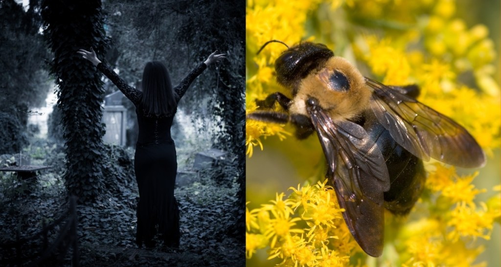 Goth woman rescues a flightless carpenter bee and gives it the most heartwarmingly wonderful life
