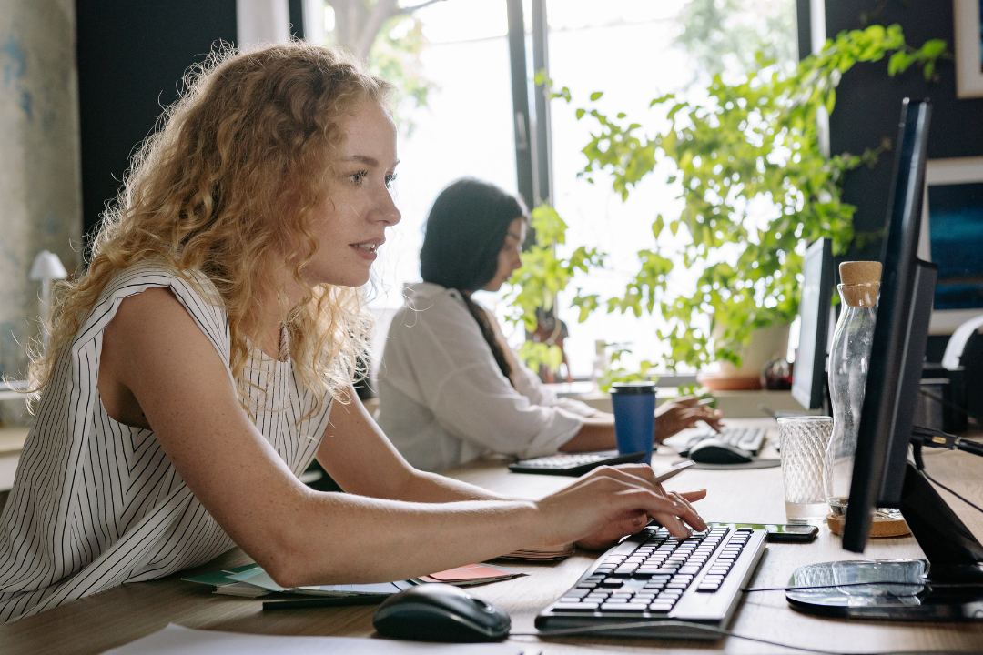 What’s the most powerfully useful underground website that most people don’t know about?