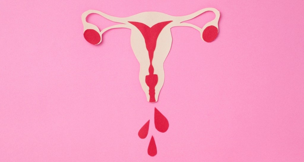 menstruation, periods, uterus