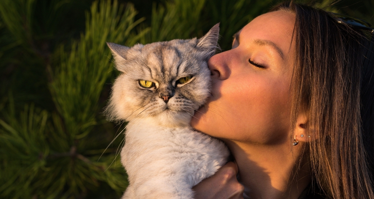 cat, cat owner, pets, cats