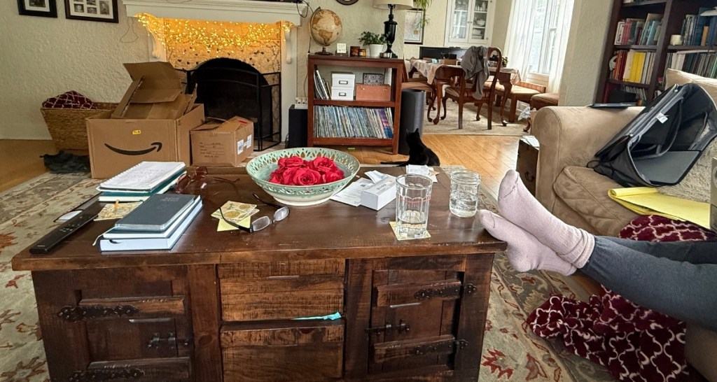 house, home, living room