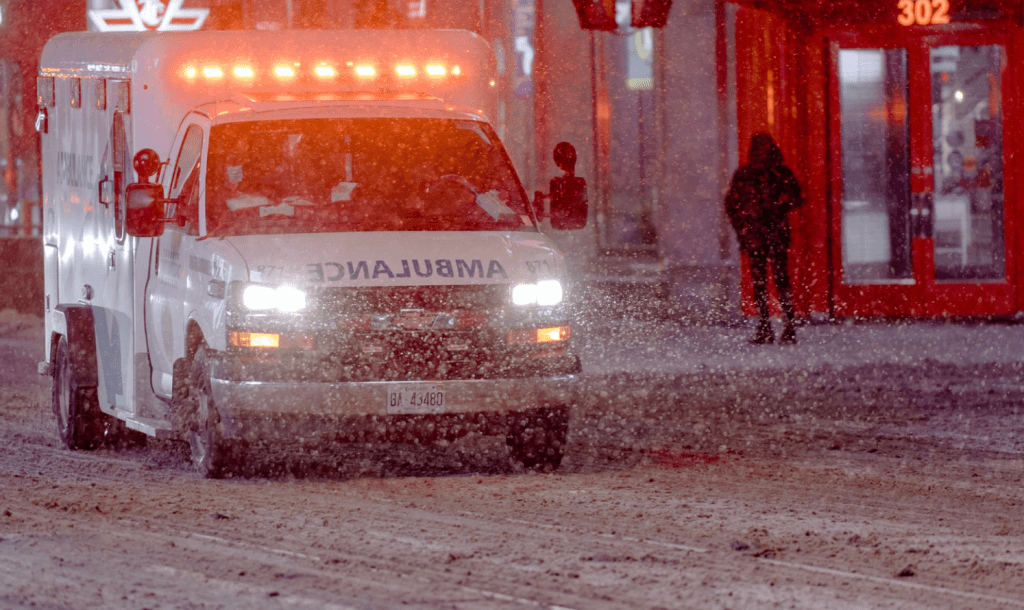 MAIL CARRIER BRAVES BLIZZARD, SAVES 96-YEAR-OLD
