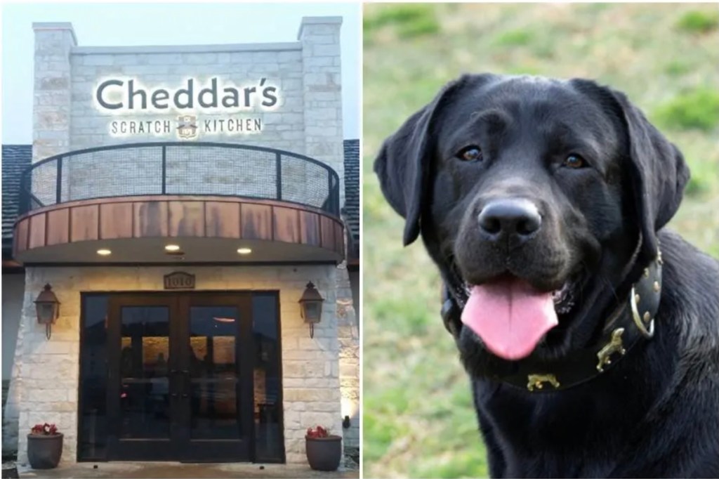 Man ordering steak for dog’s last meal is stunned by restaurant staff’s kind response
