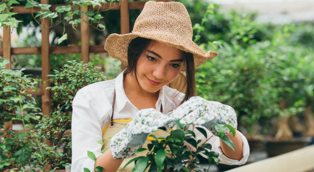 gardening, housing, landlord, Reddit, tenant rights