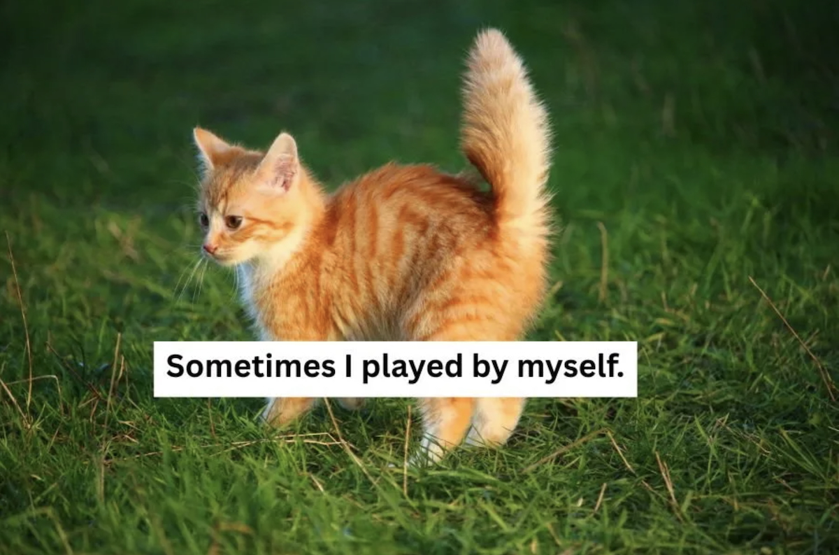 cat, kitten, orange kitten, ginger kitty, ricky the kitten
