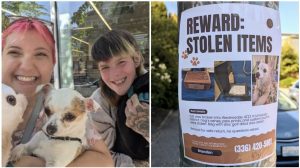 wholesome, homeless, pets, memorial, community