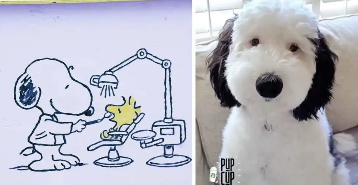 snoopy, dogs, humor, comics
