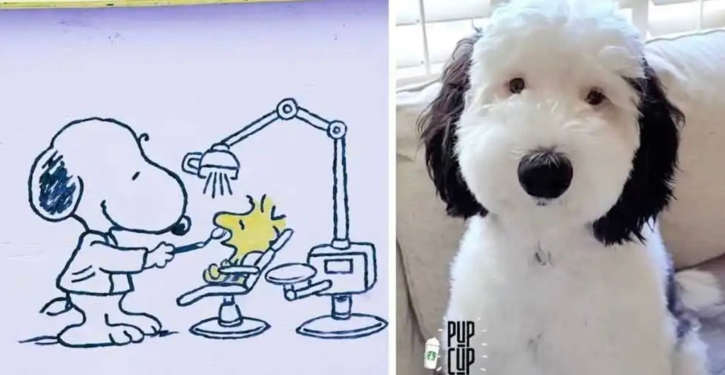 snoopy, dogs, humor, comics