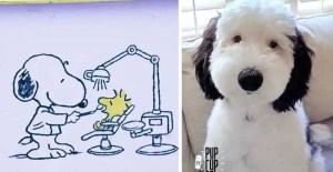 snoopy, dogs, humor, comics