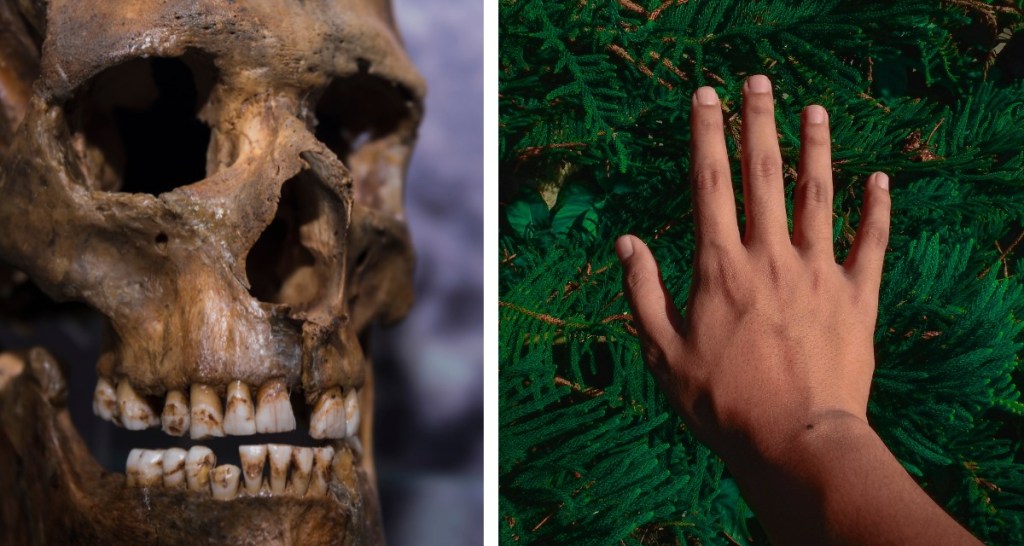 Scientists think humans developed right-handedness thanks to these 2 factors