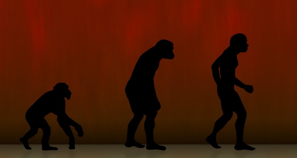 biology, human evolution, science