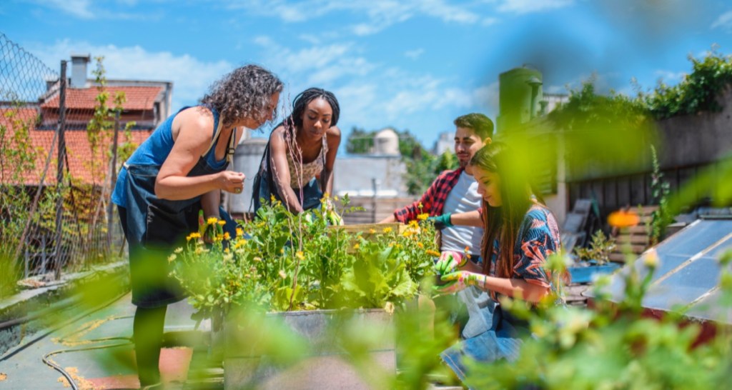 community garden, flower farm, midland bramble, flowers