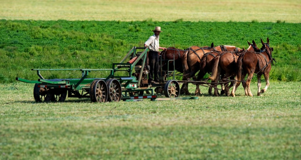 Amish, Amish technology, Amish life