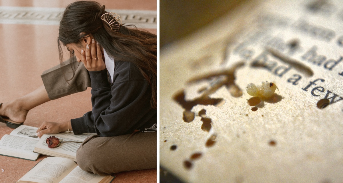 bookworms, books, reading, real bookworms, bookworm insects
