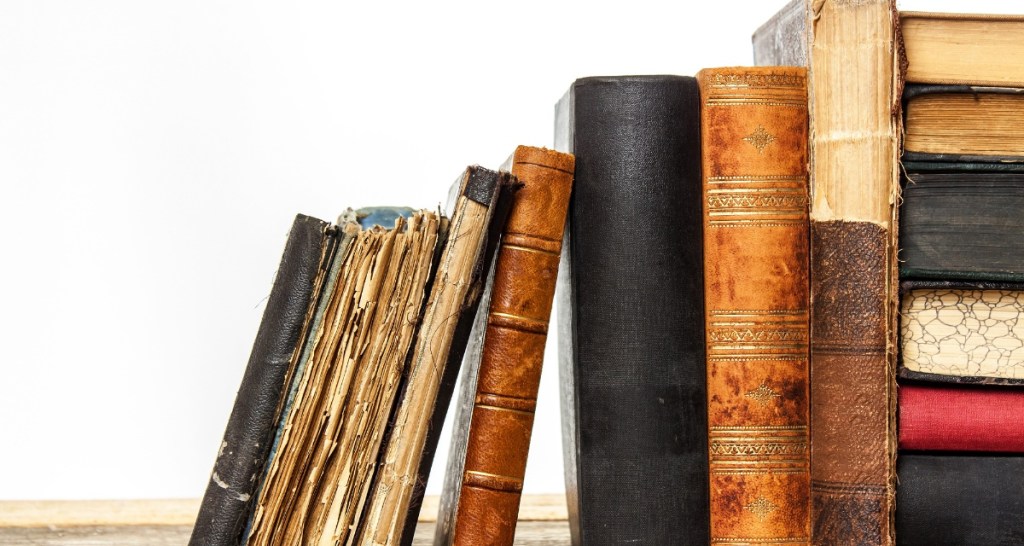 bookworms, books, reading, real bookworms, bookworm insects