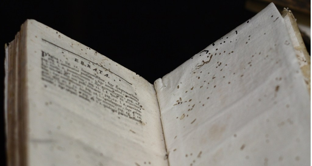 bookworms, books, reading, real bookworms, bookworm insects