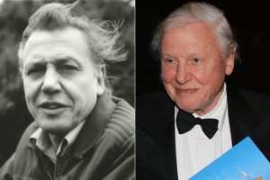 david attenborough, attenborough documentary, documentaries, nature documentaries, planet earth, blue planet, gorilla story, conservation, earth, environment, conservation