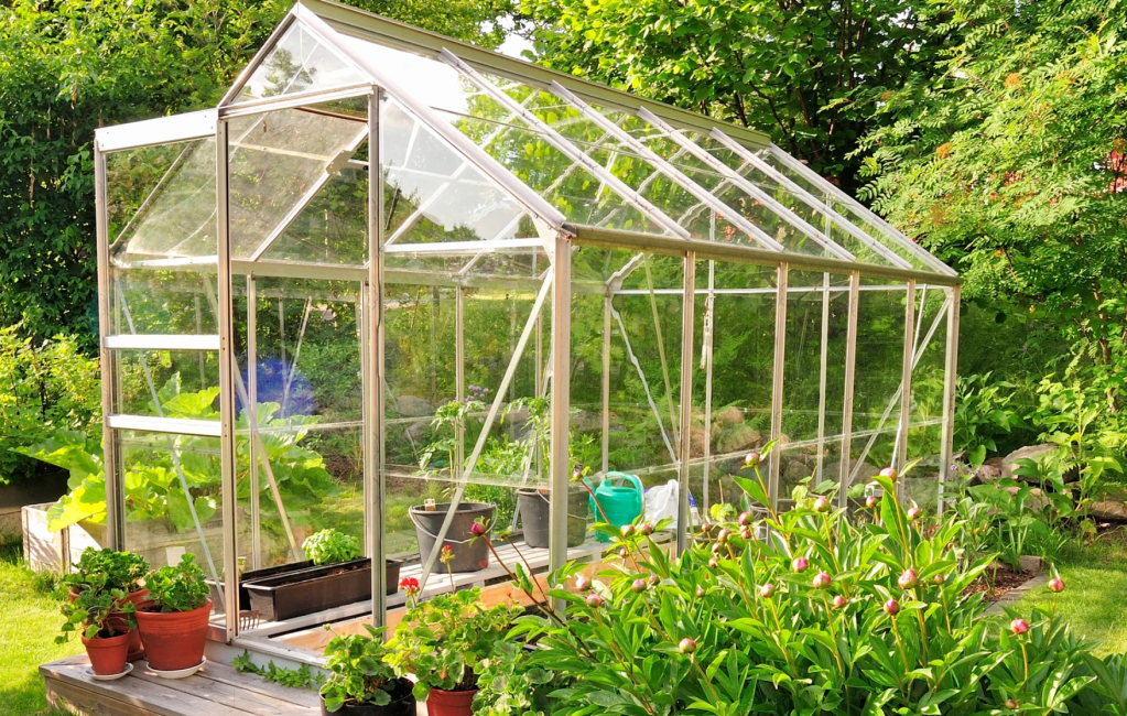 tenant rights, gardening, landlord, Reddit, housing