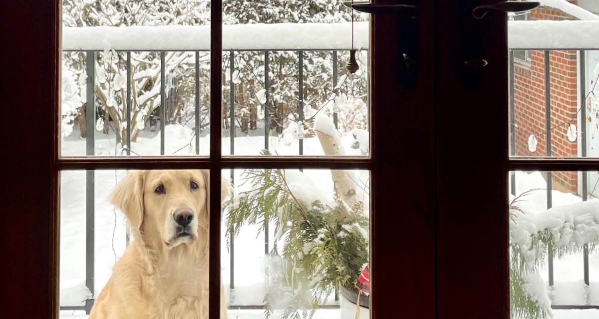 A woman noticed a window sign that asked her to ‘Shout Max!’ What came next was pure joy.