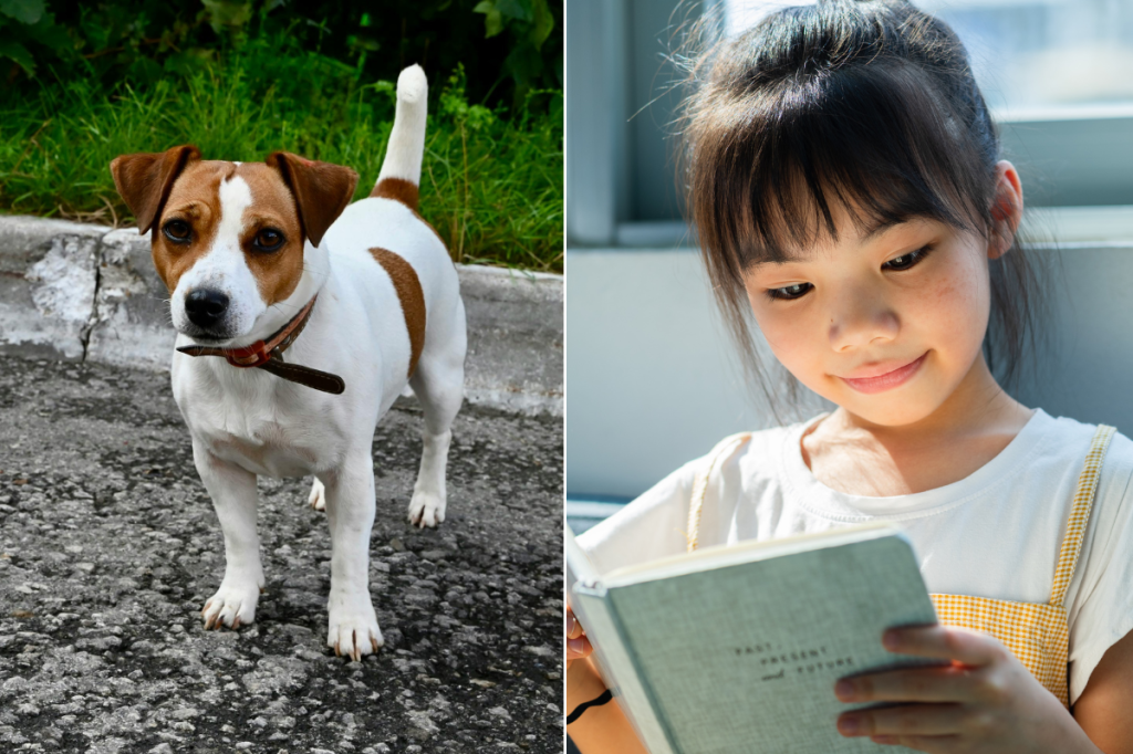 wishbone, famous dogs, actor dogs, jack russell terrier, wishbone documentary, PBS, reading, literacy, kids, television, TV shows, celebrities