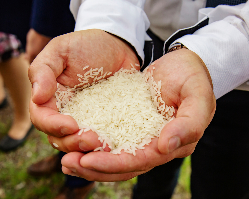 throw, rice, weddings, birds, traditions