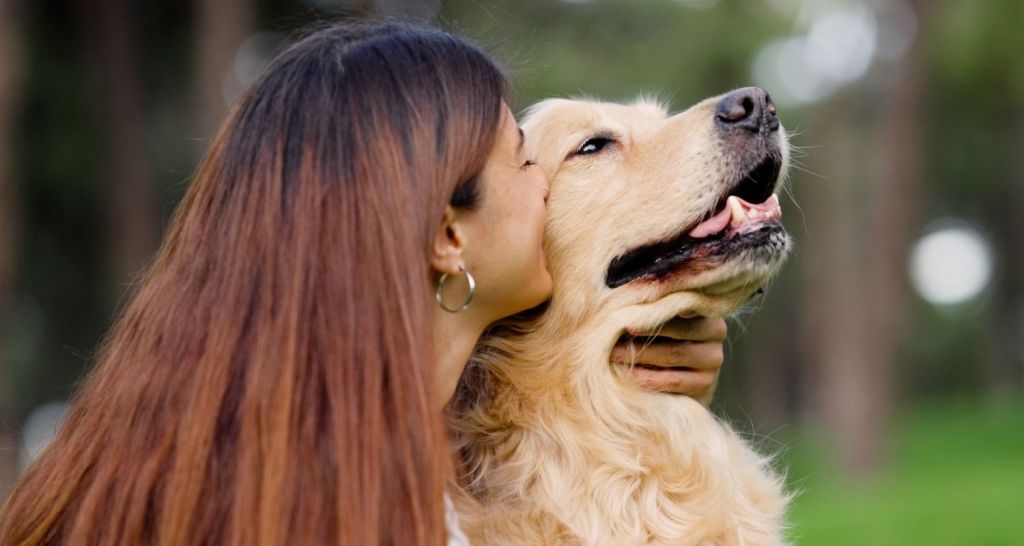 Golden Retriever, kiss, dog