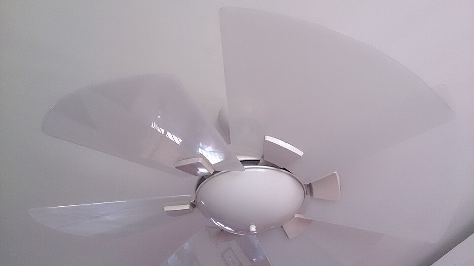 ceiling fan, spinning fan, white blades, reflection, daytime