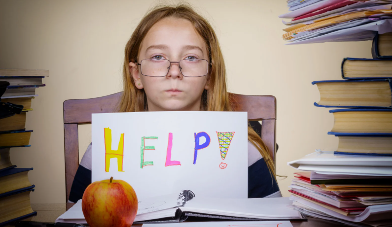 help, assistance, homework, girl student, apple, books