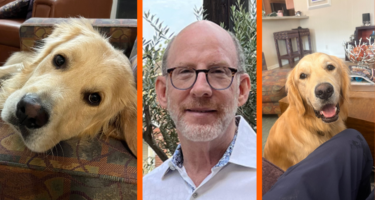 Houston man fosters 7 golden retrievers while healing from Parkinson’s disease