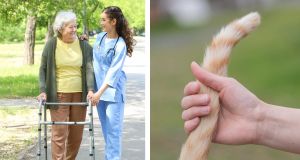 tail for parkinsons, parkinsons, cats