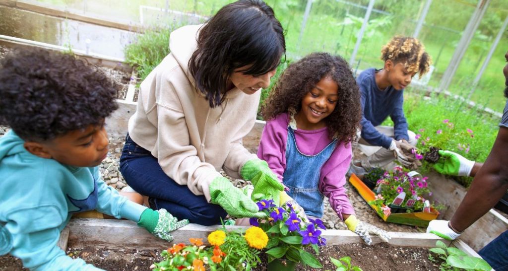 community garden, fort worth, food desert