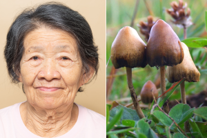 psilocybin, alzheimers, dementia, memory loss, medicine, healthcare, wellness, medical breakthrough, mushrooms, psychedelics, drugs, modern medicine, science