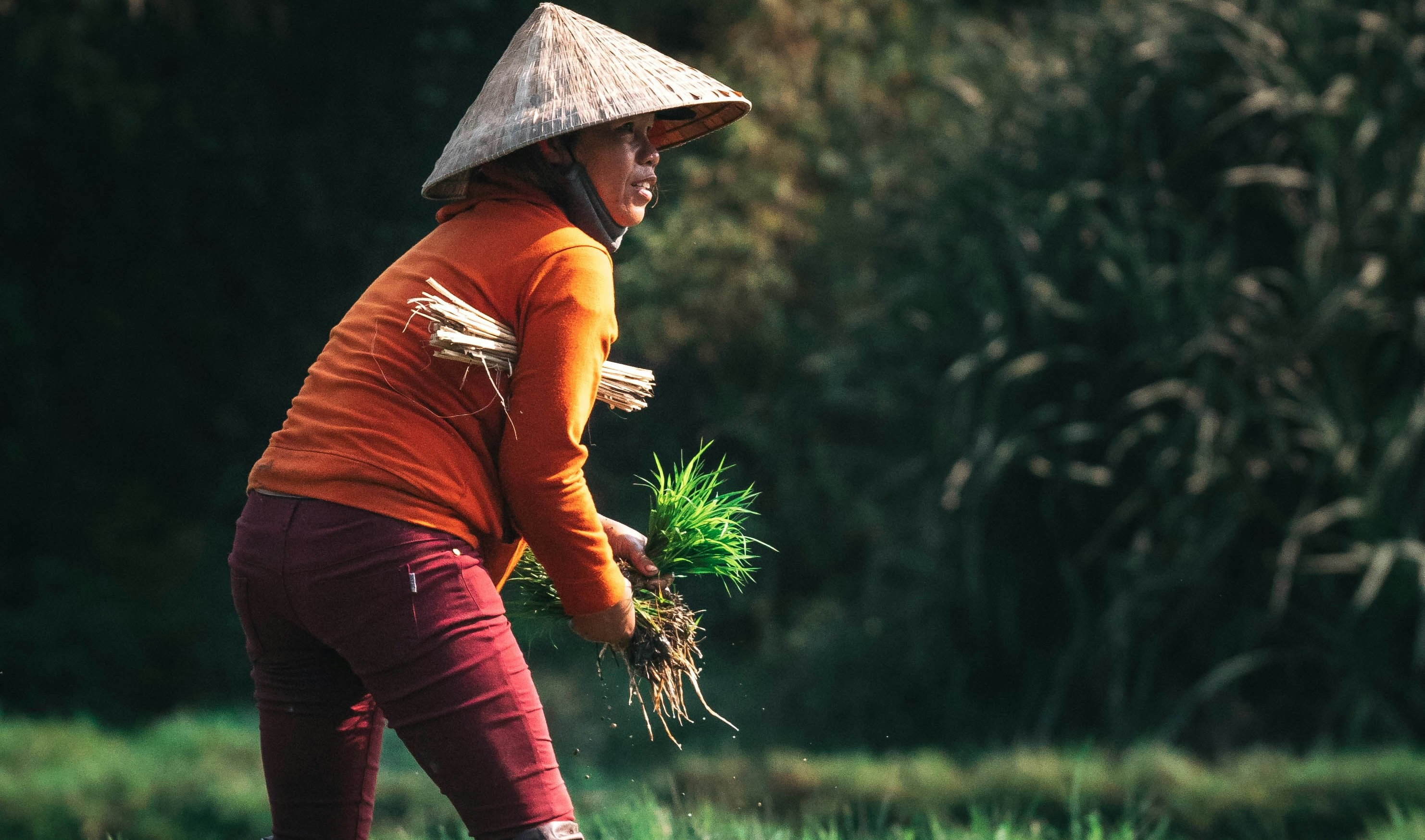 A teacher helped a woman plant trees in the desert. She found him 27 years later.