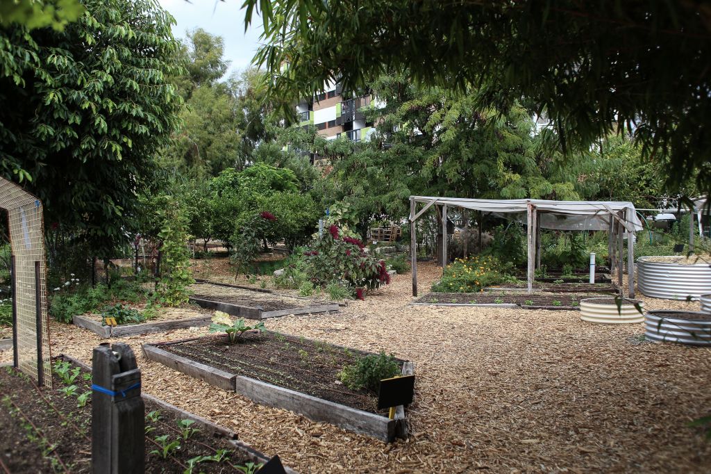 community garden, stop six, fort worth