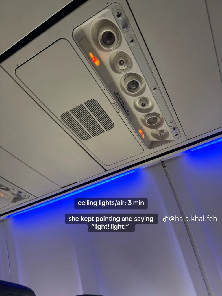 entertain, toddler, flight, screens, activities