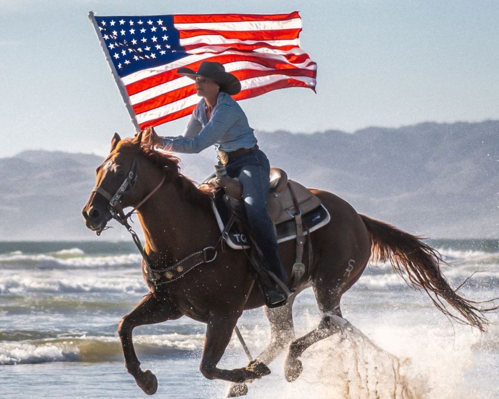 American, independence, freedom, flag, horse