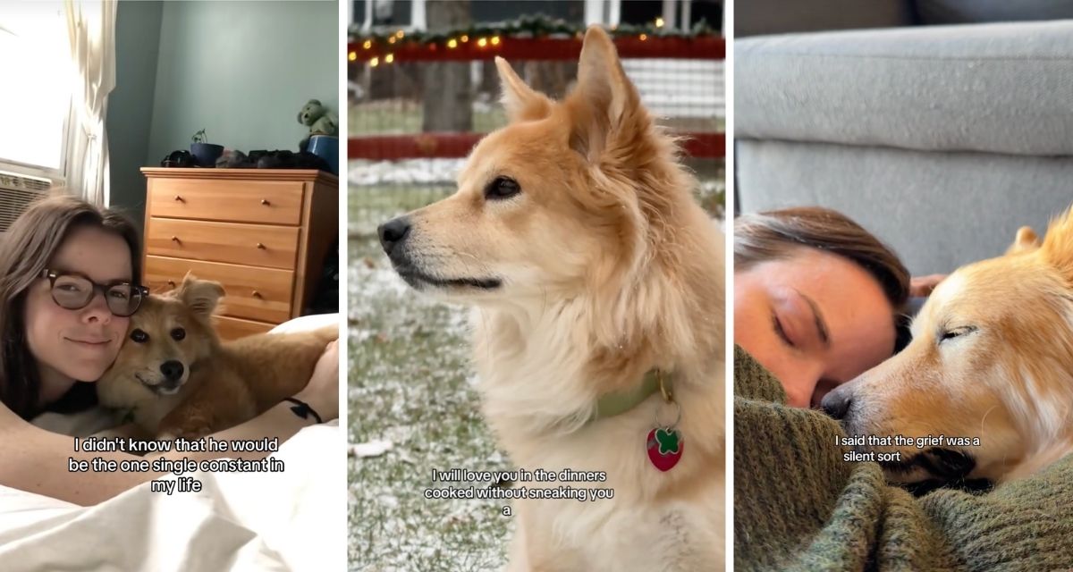 Isabel Klee, Simon, dog, pet loss