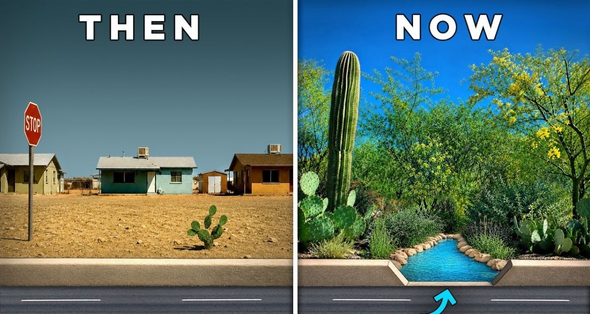 Tucson, Arizona, desert