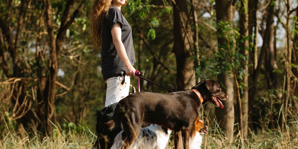 woman walking with three dogs in forest