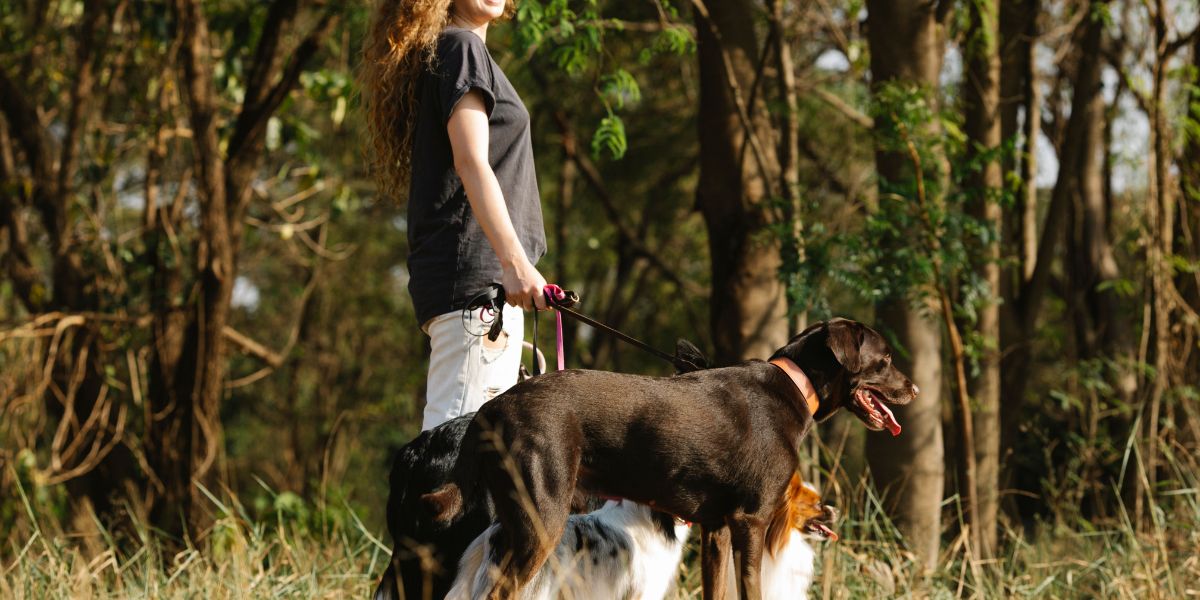 woman walking with three dogs in forest