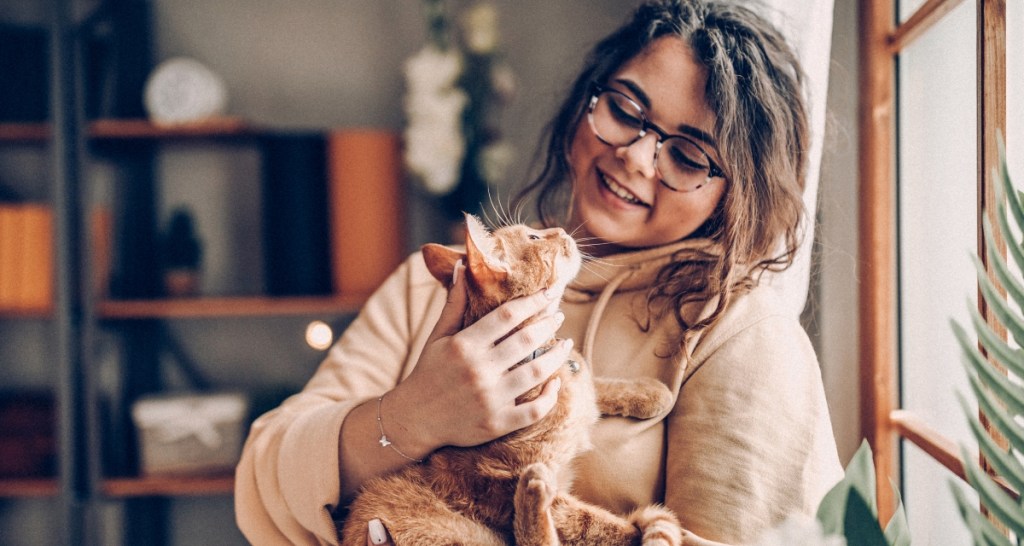cats, cat behavior, cat studies