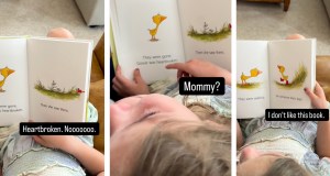 gossie and friends, kids books, childrens book