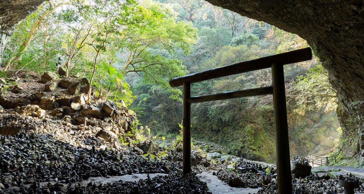 Japanese botanist found the secret to reforestation in ancient shrines