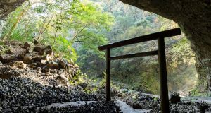 Miyawaki method, reforestation, conservation