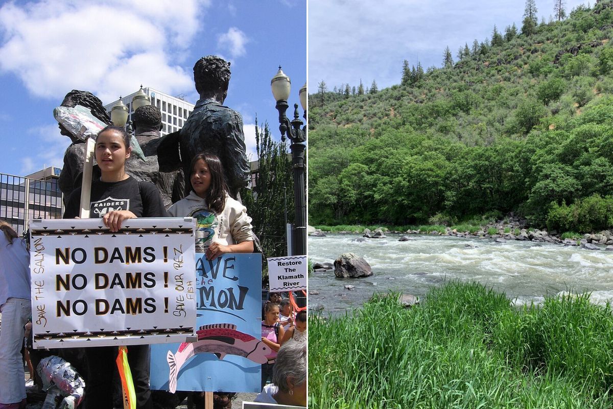 dam, dams, hydropower, salmon, salmon run, conservation, environment, indigenous tribes, earth, planet, sustainability, rivers, waterways, wildlife, nature