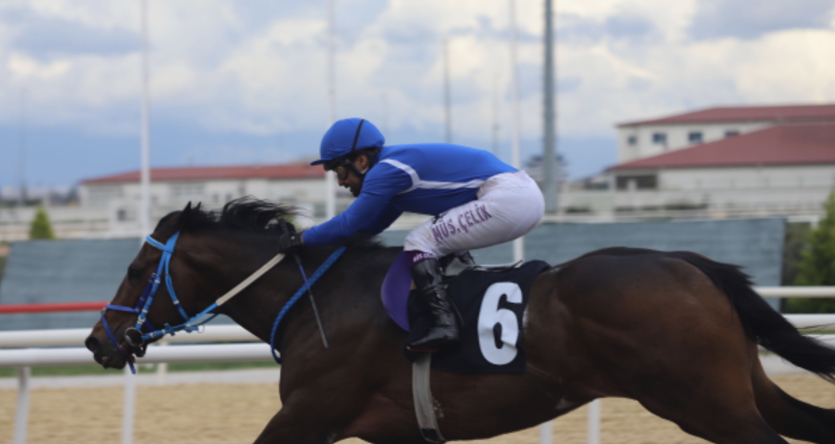 retired, racehorses, incarcerated, men, farm