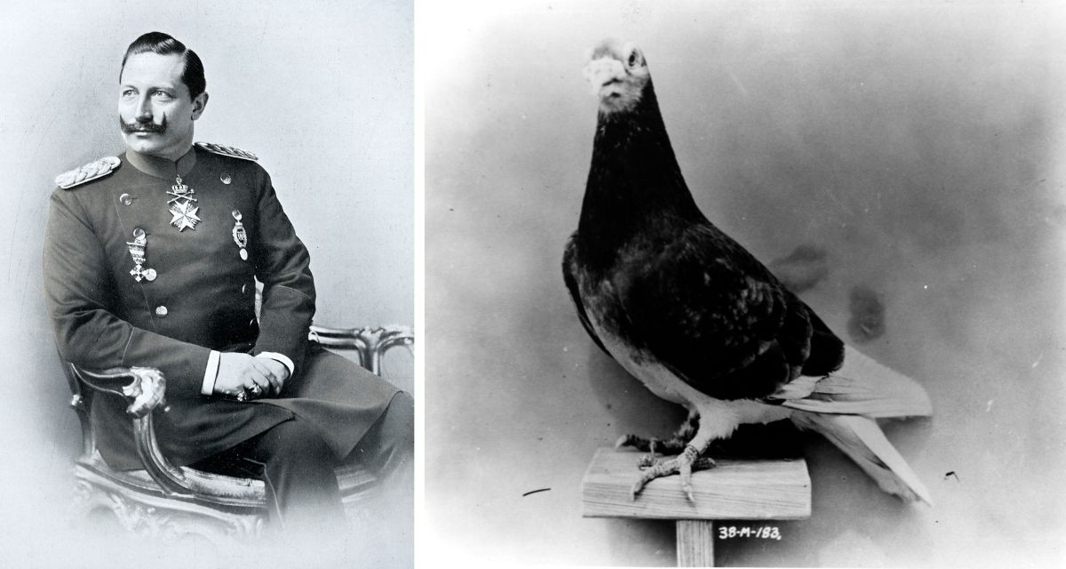 Kaiser Wilhelm II, carrier pigeon, WWI